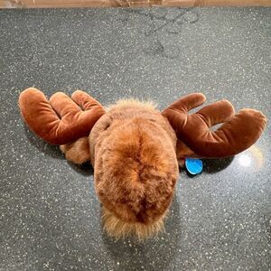 Purr-fection Moosehead with wall mount.